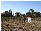 124 BINGHAM ROAD, Booral QLD 4655
