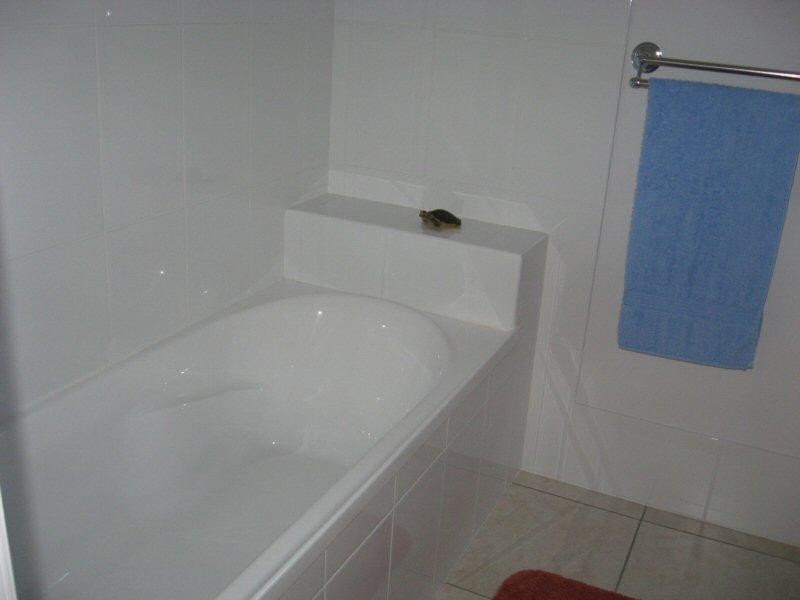 Unit 8/1 Urraween Road, Urraween QLD 4655