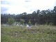 62 DUNDOWRAN ROAD, Walligan QLD 4655