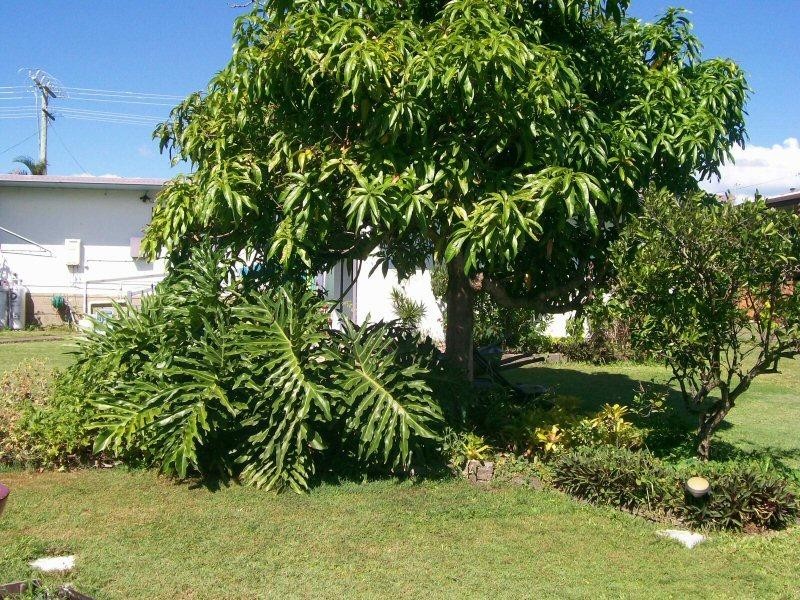 49 Tavistock Street, Torquay QLD 4655