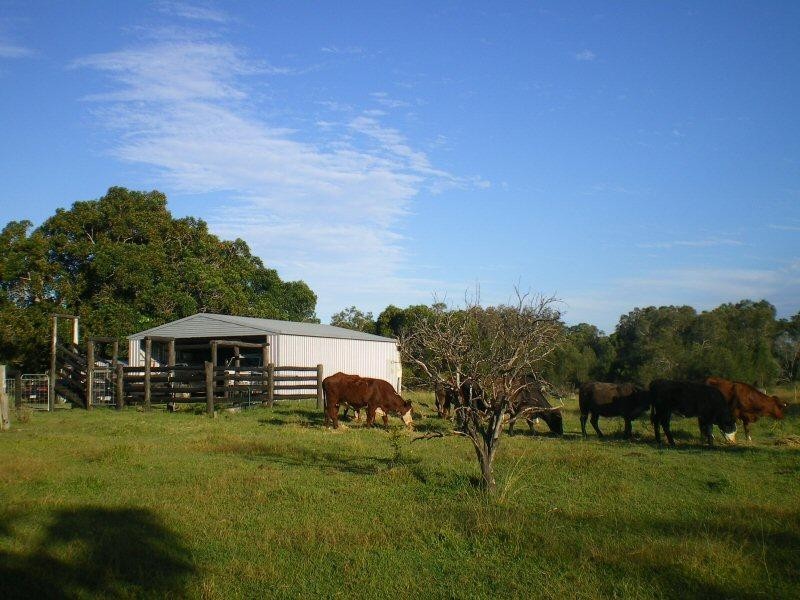 1043 BOORAL ROAD, Bunya Creek QLD 4655