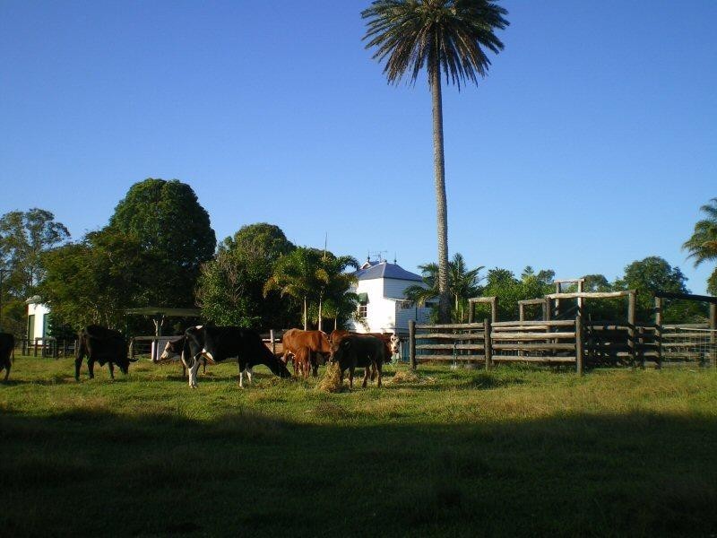 1043 BOORAL ROAD, Bunya Creek QLD 4655