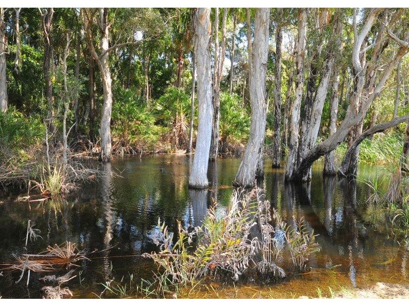 37 Seahorse Circuit, Dundowran Beach QLD 4655