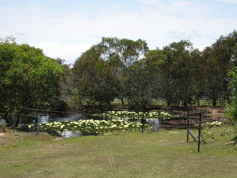 21 Finch Court, Walligan QLD 4655