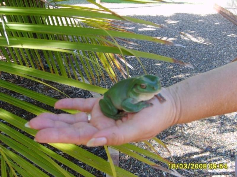 102 Rowley Road, Booral QLD 4655