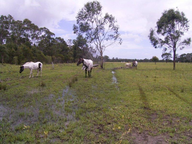 39 Simmos Road, Takura QLD 4655