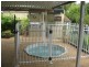 43 Romney Street, Pialba QLD 4655