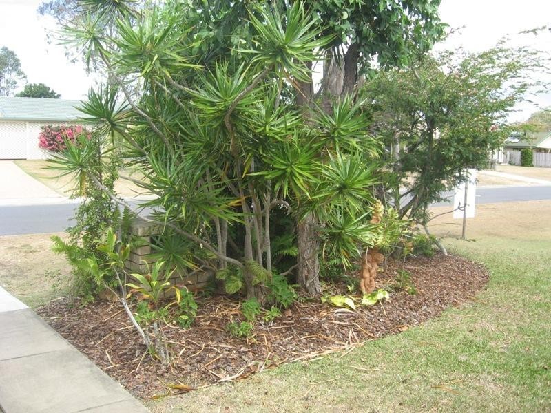 1 Acacia Street, Point Vernon QLD 4655