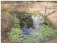 311 Bingham Road, Booral QLD 4655