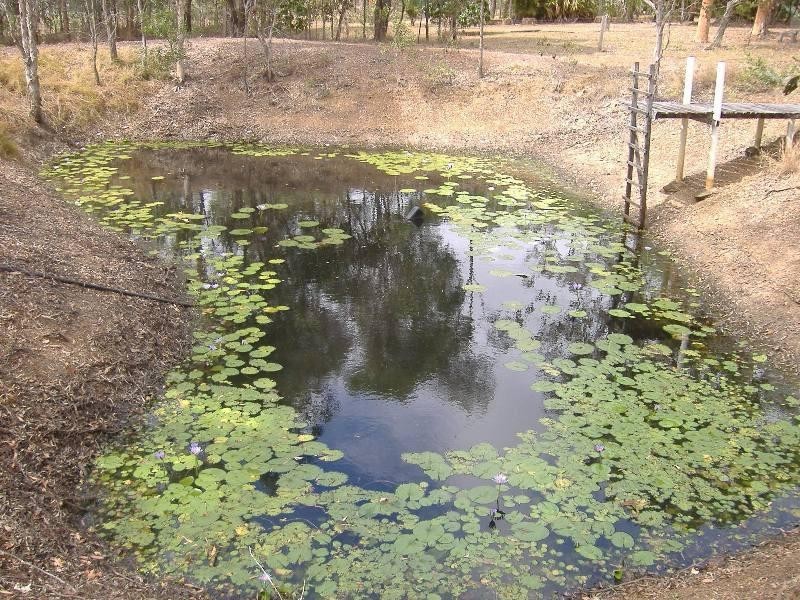 311 Bingham Road, Booral QLD 4655