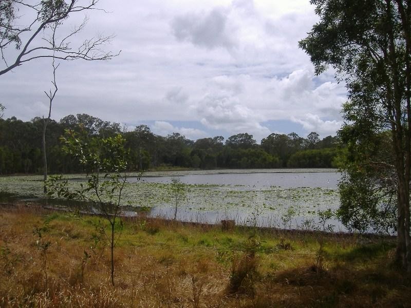 311 Bingham Road, Booral QLD 4655