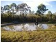 248 Honeyeater Drive, Walligan QLD 4655