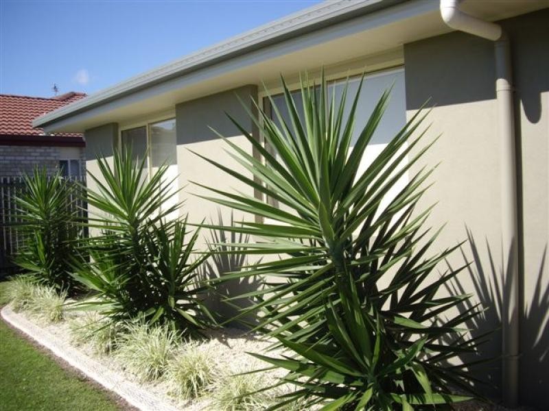 6 Pialba Downs Drive, Eli Waters QLD 4655