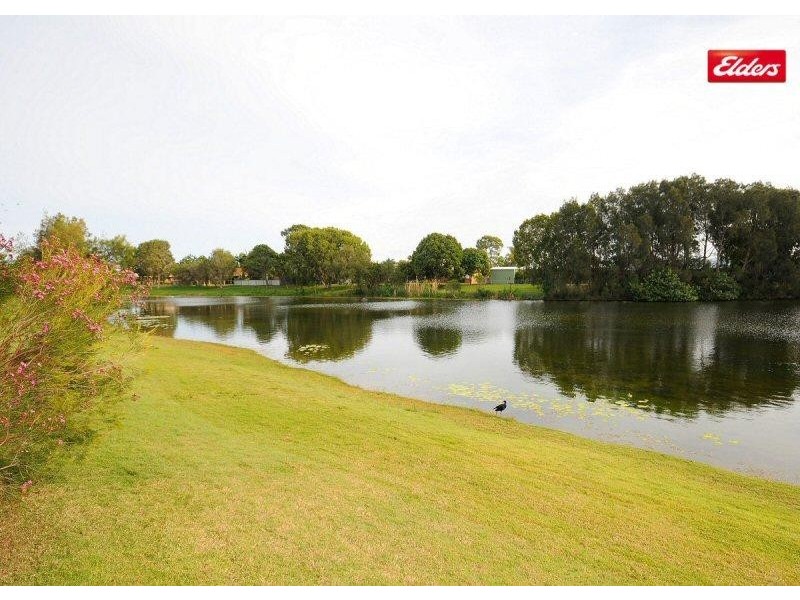 16 Harrison Circuit, Urangan QLD 4655
