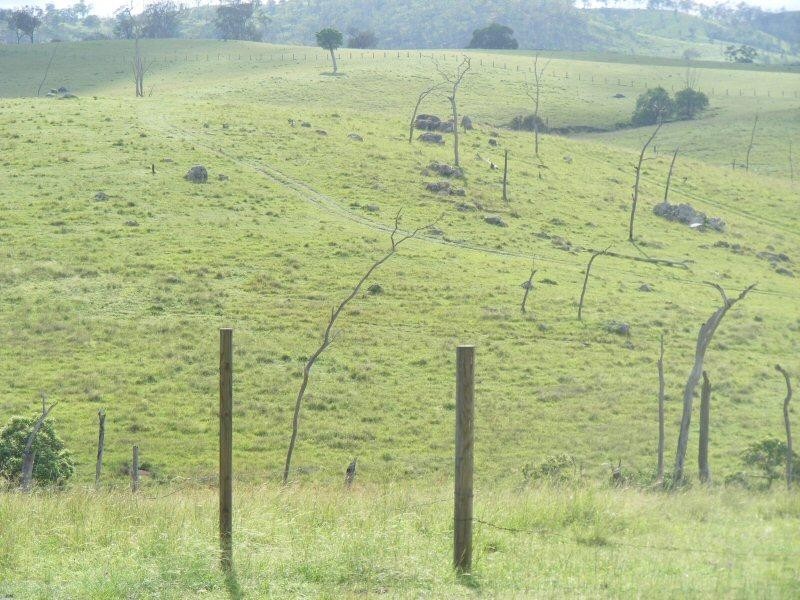 Lot 16/ Stony Creek Road, Mount Perry QLD 4671