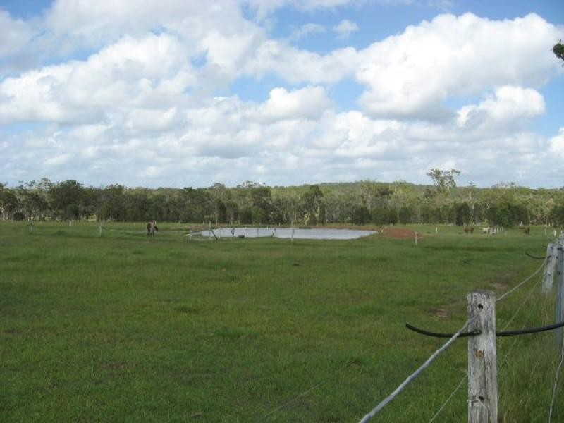 31 Finch Court, Walligan QLD 4655