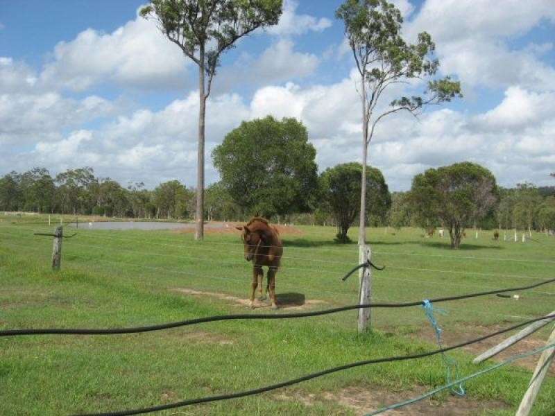 31 Finch Court, Walligan QLD 4655