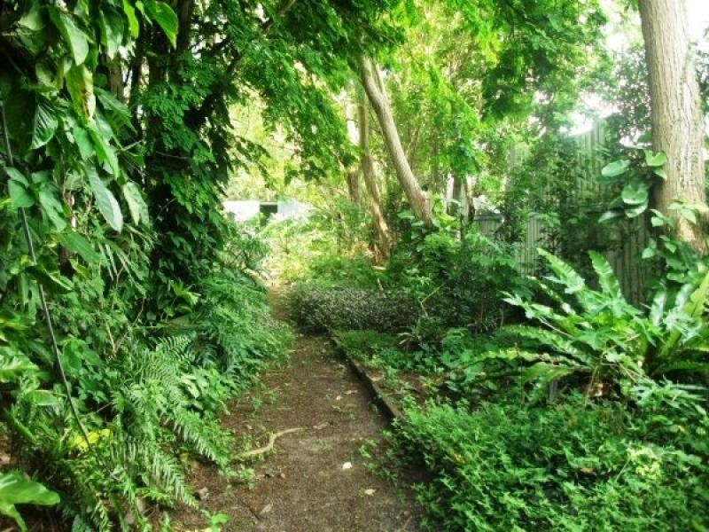 54 Old Bruce Highway, Howard QLD 4659