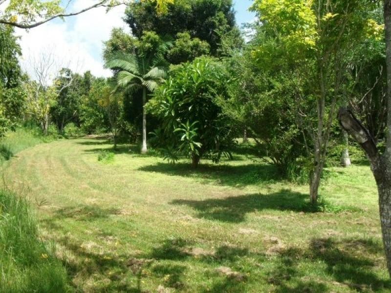 54 Old Bruce Highway, Howard QLD 4659