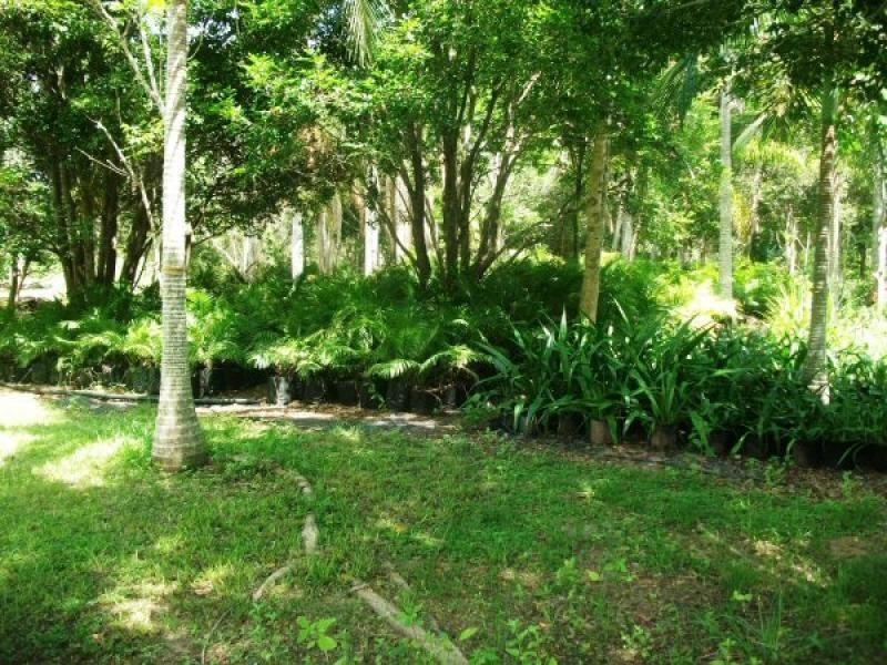 54 Old Bruce Highway, Howard QLD 4659