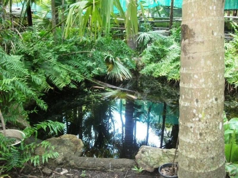 54 Old Bruce Highway, Howard QLD 4659
