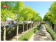 53 Bideford Street, Torquay QLD 4655