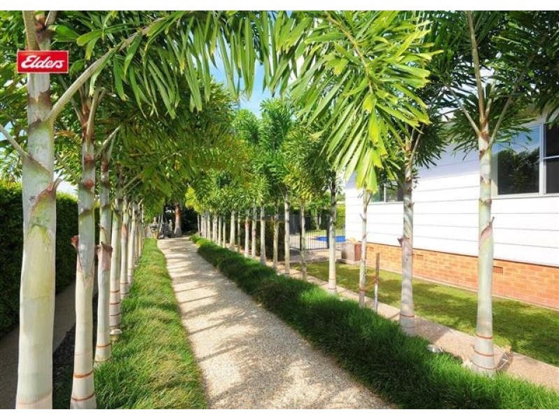 53 Bideford Street, Torquay QLD 4655