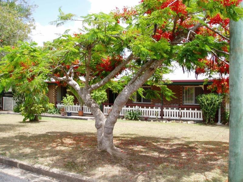 40 Saunders Street, Point Vernon QLD 4655