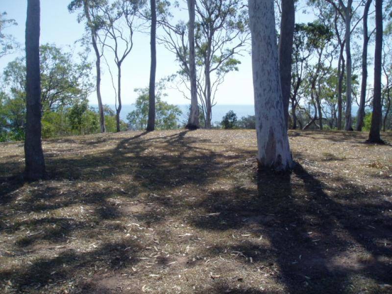 24 MANT STREET, Point Vernon QLD 4655