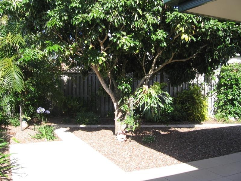 11 Brooke Court, Torquay QLD 4655