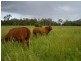 Grandchester QLD 4340