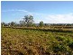 Laidley QLD 4341