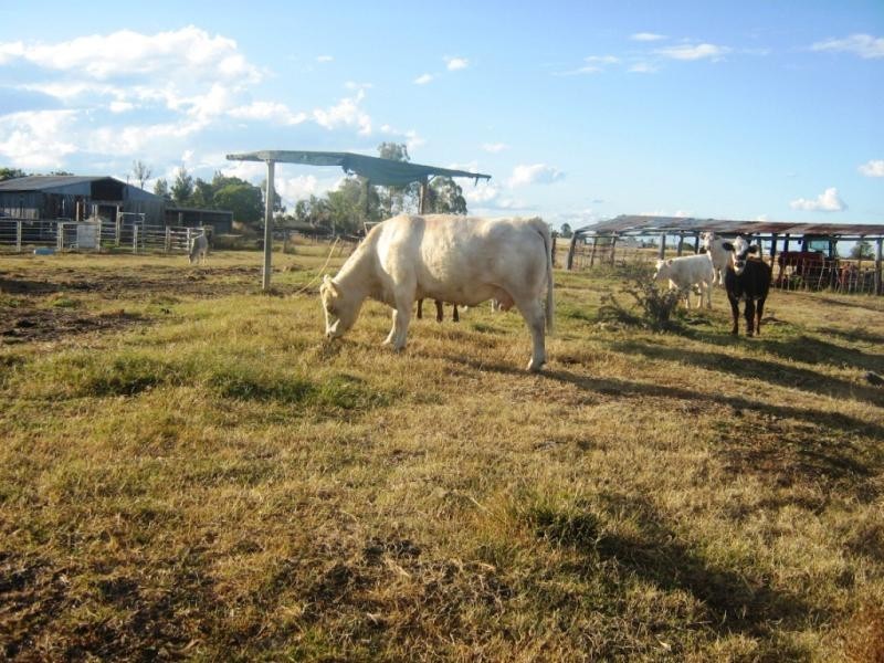 Crowley Vale QLD 4342