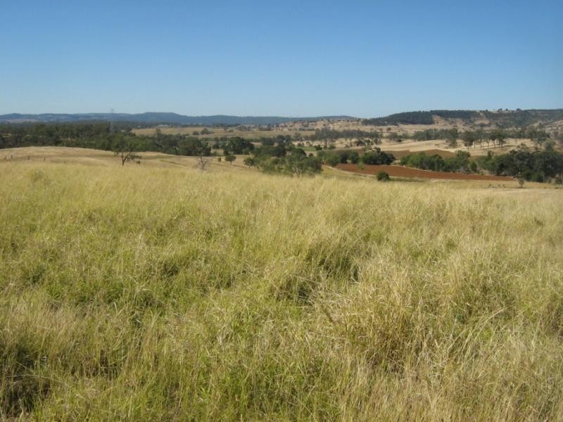 Blenheim QLD 4341