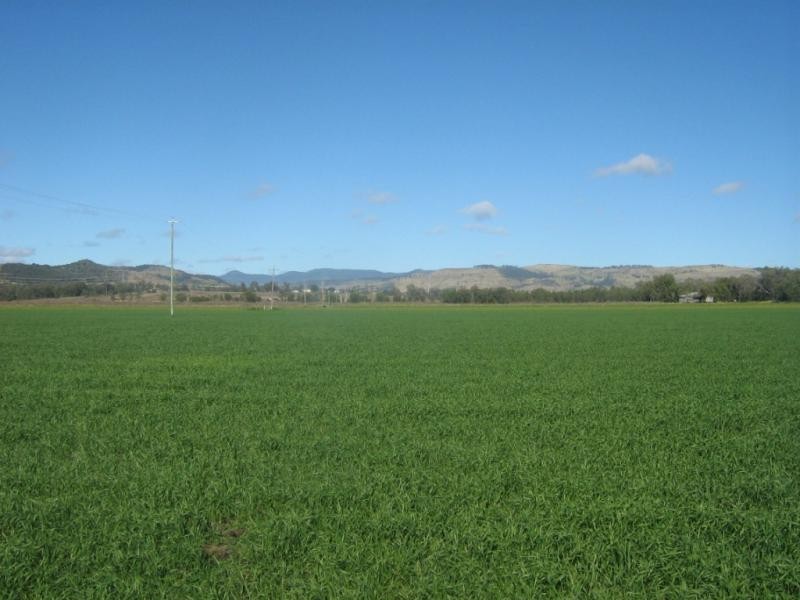 Lot 1/ Forest Hill – Blenheim Road, Blenheim QLD 4341