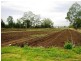 Forest Hill QLD 4342