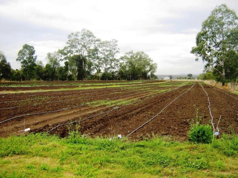 Forest Hill QLD 4342