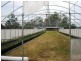 Forest Hill QLD 4342