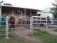 Blenheim QLD 4341