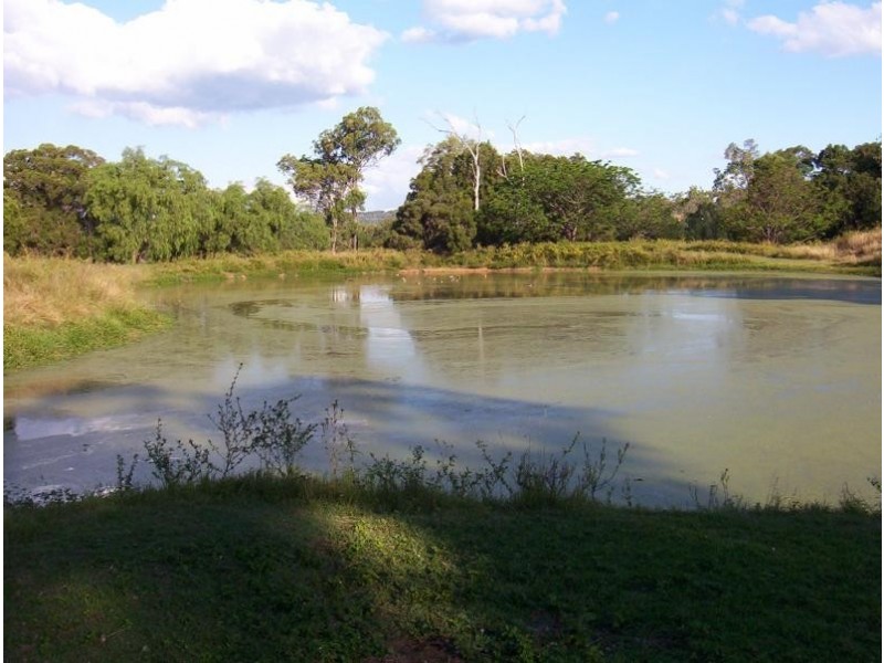 Blenheim QLD 4341