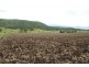Townson QLD 4341