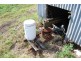 Townson QLD 4341