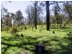 31 Blenheim Road, Laidley QLD 4341