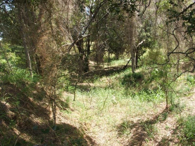 Regency Downs QLD 4341
