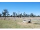 Gatton QLD 4343
