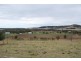 Blenheim QLD 4341