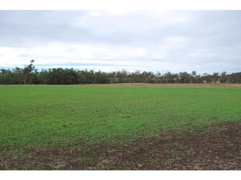 Blenheim QLD 4341