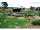 Regency Downs QLD 4341