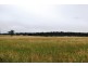 49 Woolshed Creek Rd, Hatton Vale QLD 4341