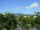 56 ELIZABETH STREET, Mirani QLD 4754